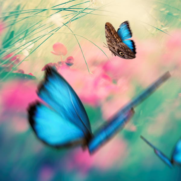 Apostila de Fatias Lucrativas 2.0 – Transforme sua Vida na Confeitaria! CUPOM DE DESCONTO