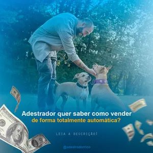 Conquiste sua Renda de 10K com o Curso “Adestrador Rico” – Aumente Suas Vendas e Expanda Seu Negócio