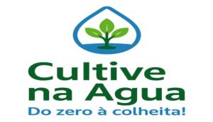Curso Cultive na Água mostra como criar uma horta hidropônica em casa de forma prática e econômica