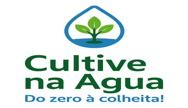 Curso Cultive na Água mostra como criar uma horta hidropônica em casa de forma prática e econômica