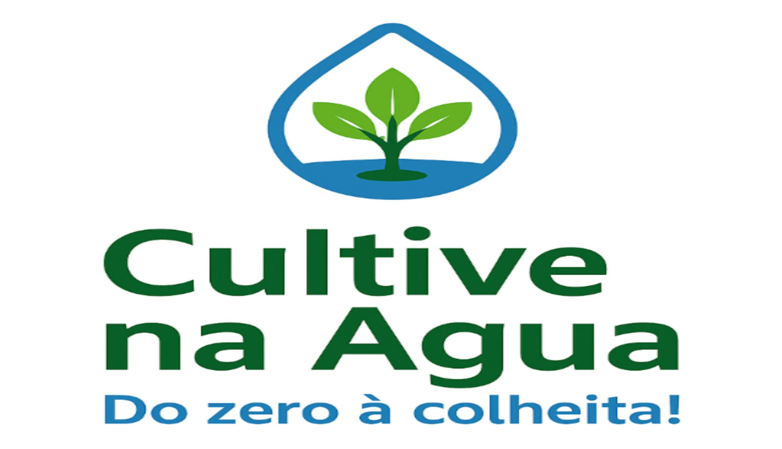 Curso Cultive na Água mostra como criar uma horta hidropônica em casa de forma prática e econômica