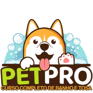 Imagem ilustrativa do Curso de Banho e Tosa PET PRO mostrando aulas práticas e certificado ABED