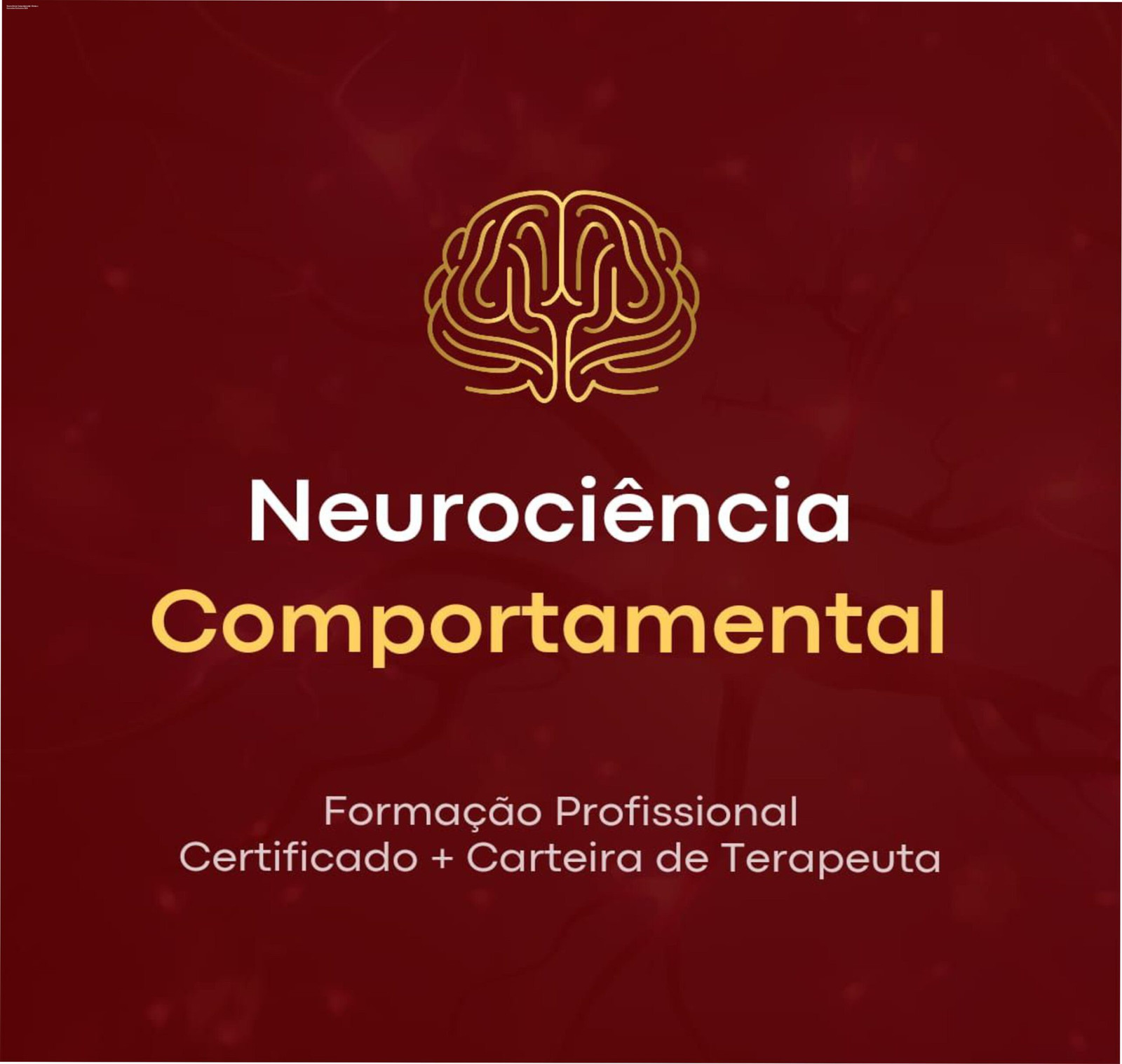 Curso online de Neurociência Comportamental com 450 horas de conteúdo e certificação - Ofertas e descontos exclusivos
