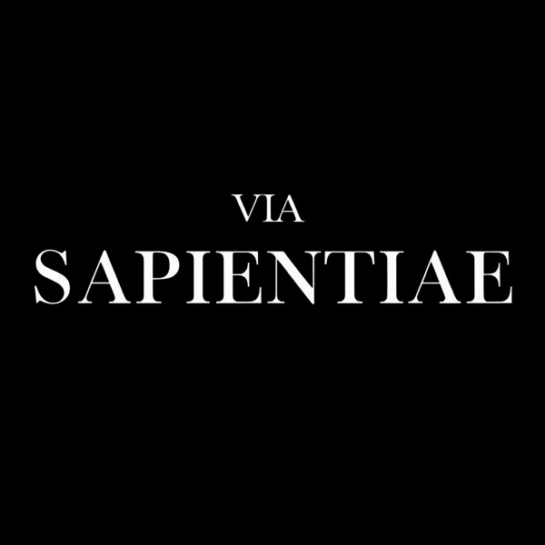 Professor Iago Tanajura ensinando Latim Grego e Hebraico aplicados à Bíblia no curso Via Sapientiae