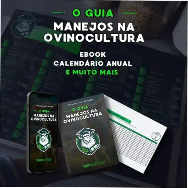 Capa informativa sobre o tema Guia de manejos - Ovinocultura