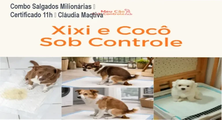 Combo de Receitas de Salgados Milionárias – certificado de 11h – Cláudia Maqtiva