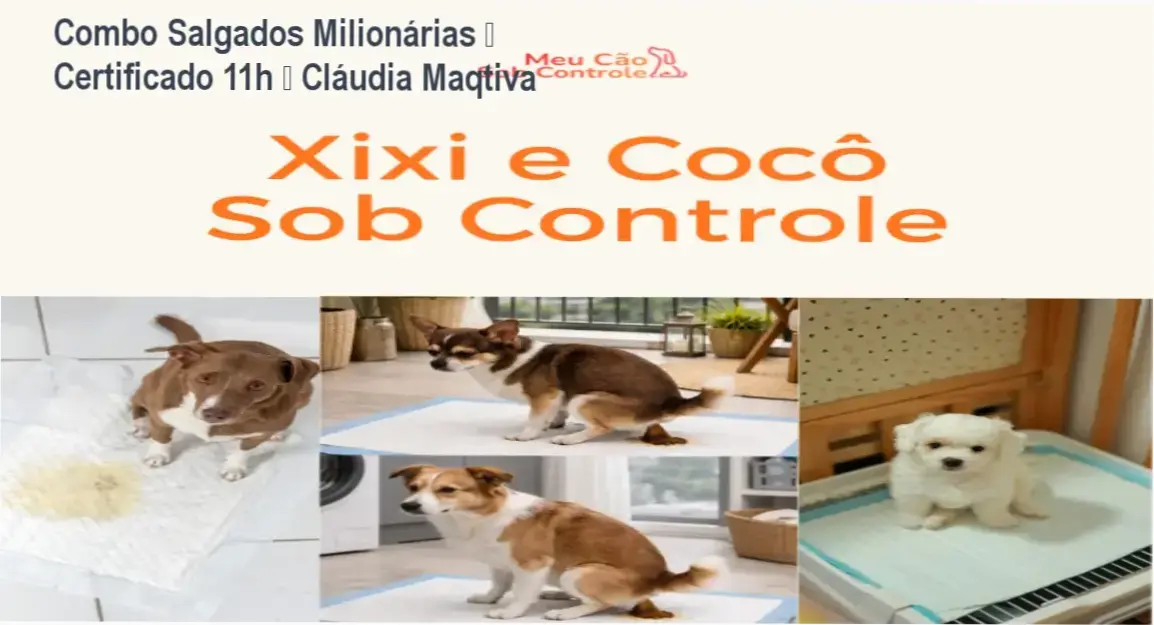 Combo de Receitas de Salgados Milionárias – certificado de 11h – Cláudia Maqtiva