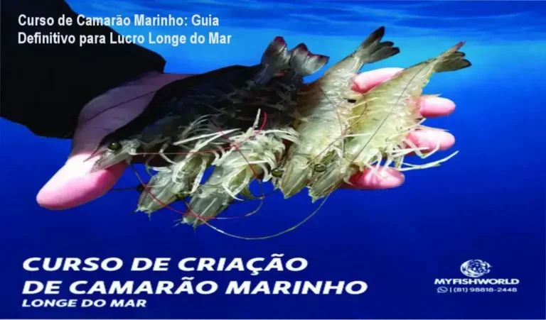 Imagem promocional do Curso de Criação de Camarão Marinho Longe do Mar com destaque para oferta oficial