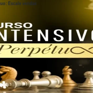 Intensivo do Perpétuo: Escale vendas com Google Ads