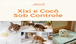 metodo-xixi-coco-sob-controle-curso-salgados-1.webp CUPOM DE DESCONTO