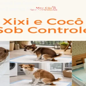 Método Xixi e Cocô Sob Controle – Aprenda com a Expert em Salgados