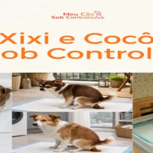 Método Xixi e Cocô Sob Controle – Salgados Milionários por R$97