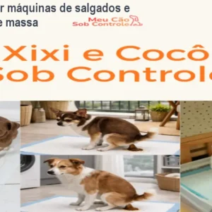Como dominar máquinas de salgados e evitar erros de massa
