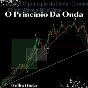 Curso O princípio da Onda – Domine Elliott Wave e NEoWave