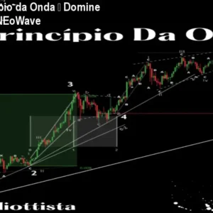 Curso O princípio da Onda – Domine Elliott Wave e NEoWave