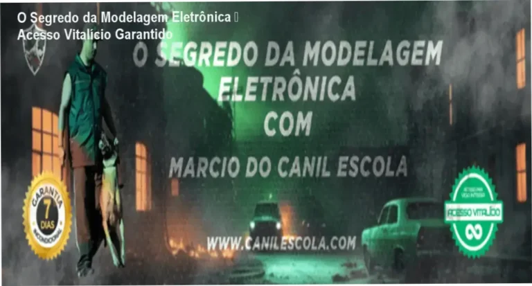 O Segredo da Modelagem Eletrônica de Márcio F. da Silva – acesso vitalício