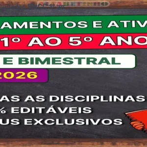Planejamentos e Atividades BNCC 1º ao 5º ano