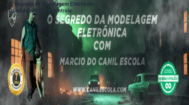 O Segredo da Modelagem Eletrônica — Obediência total e controle 8 Treinador usando colar eletrônico para obter obediência total de um cão em ambiente externo