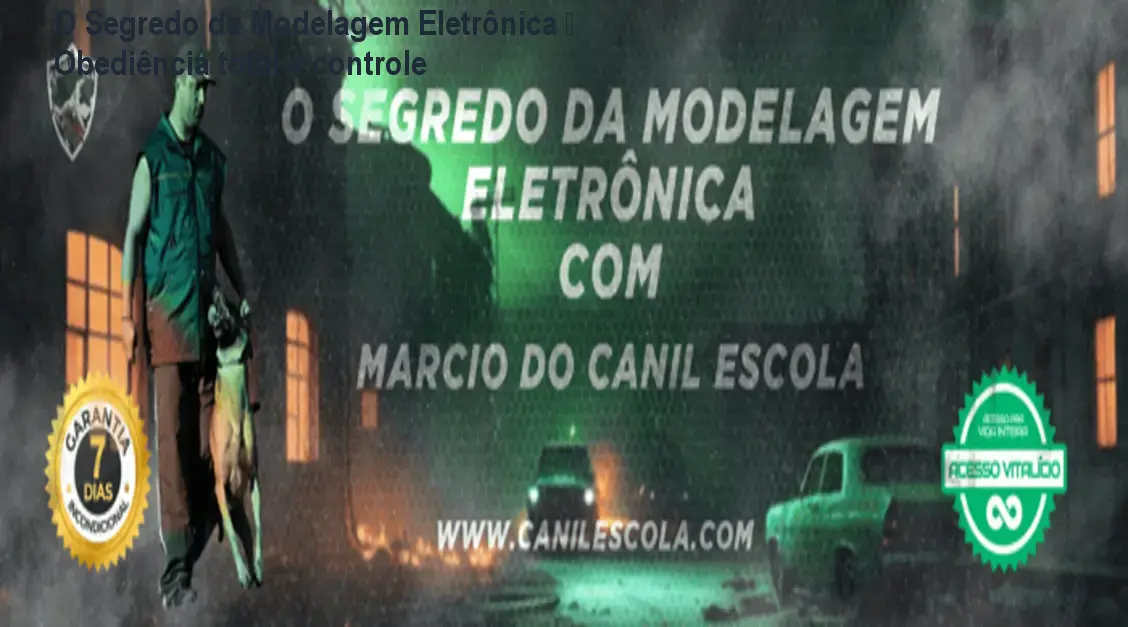 O Segredo da Modelagem Eletrônica — Obediência total e controle 1 Treinador usando colar eletrônico para obter obediência total de um cão em ambiente externo