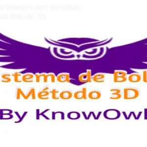 Como organizar finanças sem planilhas - Sistema de Bolso Método 3D