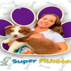 Curso Super Filhotes Marina Volanski – Como educar seu filhote rápido