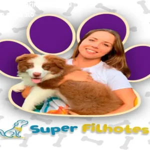 Super Filhotes de Marina Volanski – Curso Prático e Barato