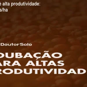 Adubação café alta produtividade: aumente sacas/ha