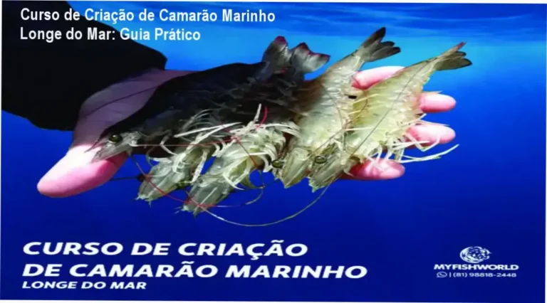 Capa do curso mostrando grupo de especialistas em aquicultura com diagrama de sistema de cultivo de camarão marinho.