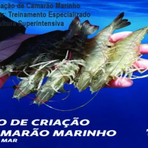 Curso de Criação de Camarão Marinho Longe do Mar: Treinamento Especializado em Carcinicultura Superintensiva