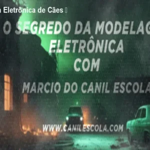 Curso Modelagem Eletrônica de Cães – Controle Total