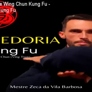 Curso online Wing Chun Kung Fu - Sabedoria Kung Fu