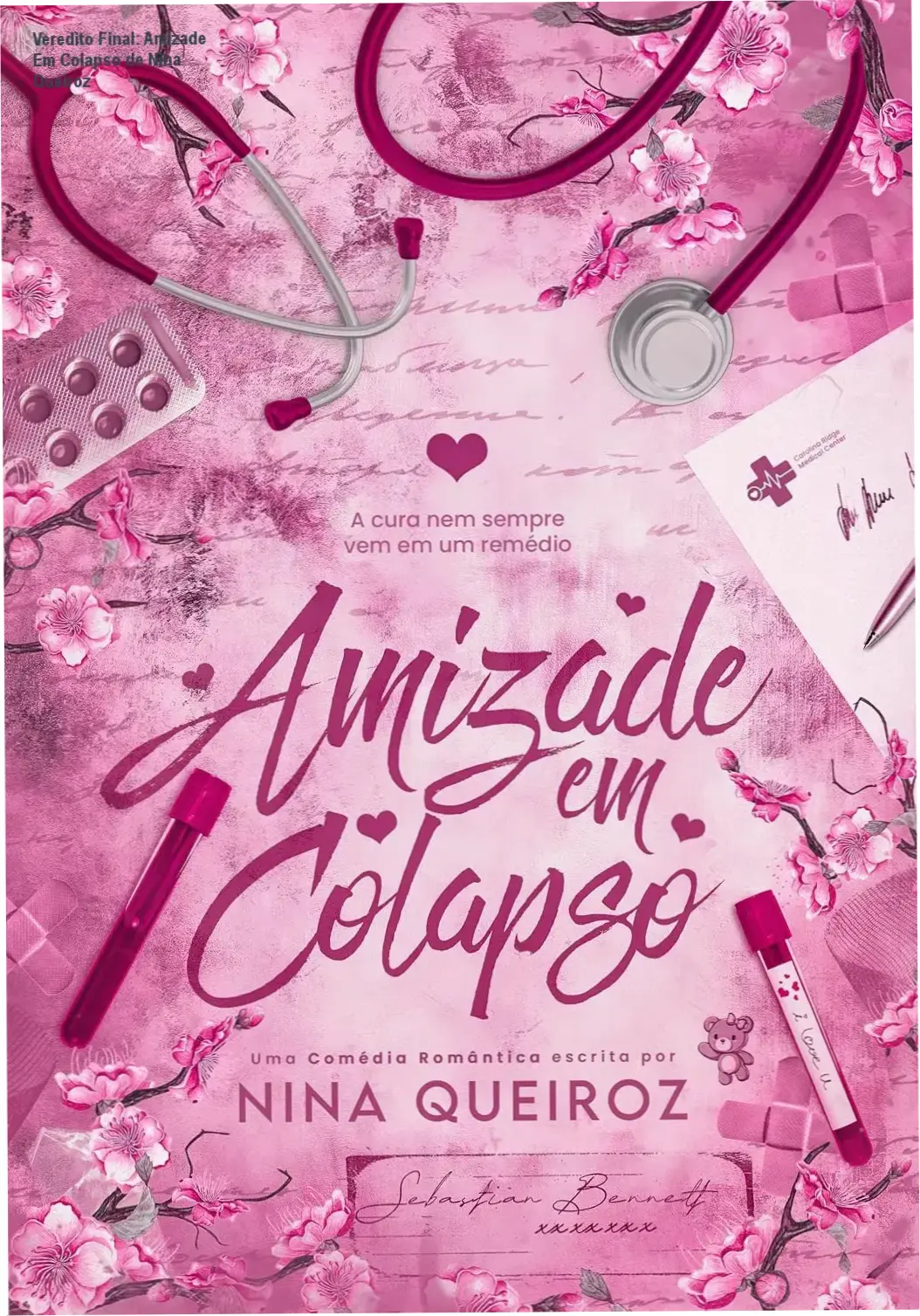 Capa do livro Amizade Em Colapso de Nina Queiroz em dispositivo Kindle