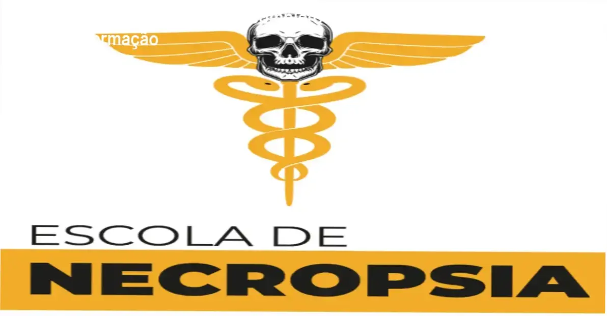 Visão interna da plataforma de estudos da Escola de Necropsia e Escola Plenarius