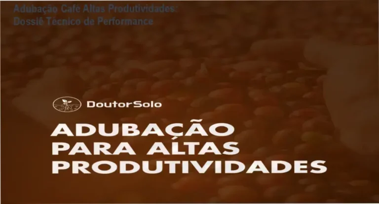 Adubação Café Altas Produtividades: Dossiê Técnico de Performance 2 Plantação de café produtiva exemplificando a aplicação de adubação de precisão