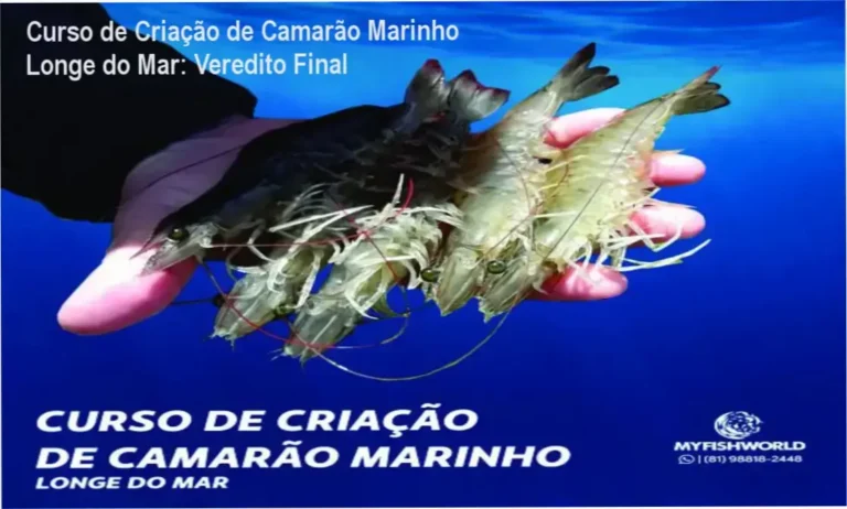 Esquema técnico de sistema de criação superintensiva de camarão marinho longe do mar