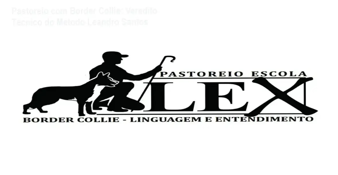 Curso Introdução ao Entendimento do Pastoreio com Border Collie de Leandro Santos: visão interna do treinamento