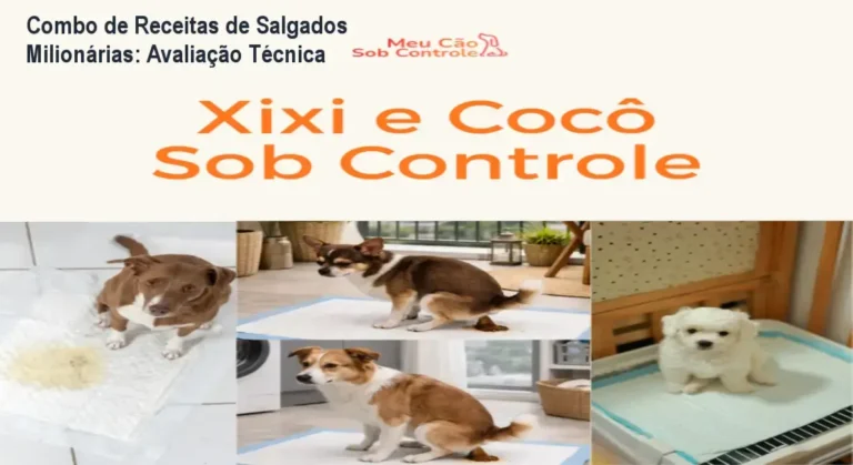 Detalhes do Combo de Receitas de Salgados Milionárias para produção em máquinas modeladoras
