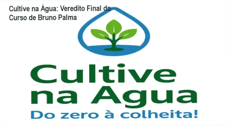 Cultive na Água: Veredito Final do Curso de Bruno Palma 4 Sistema de hidroponia doméstica montado seguindo o método do curso Cultive na Água de Bruno Palma