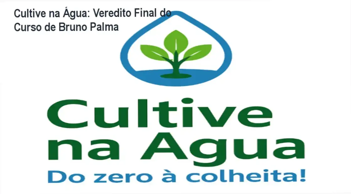 Sistema de hidroponia doméstica montado seguindo o método do curso Cultive na Água de Bruno Palma